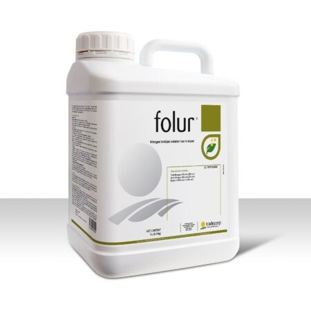 Folur N 20/1