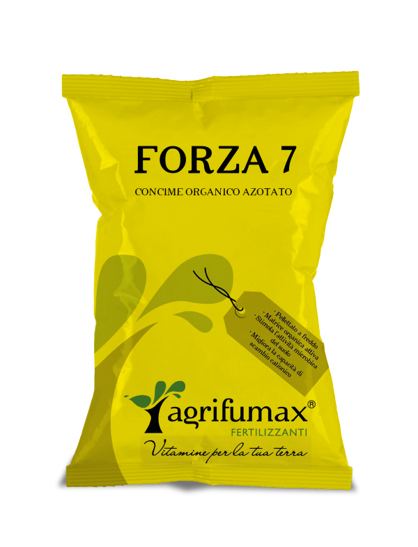 FORZA 7 25/1