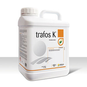 Trafos K 100ml